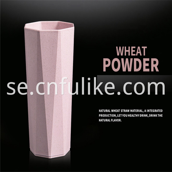 Plastic Powder Cup